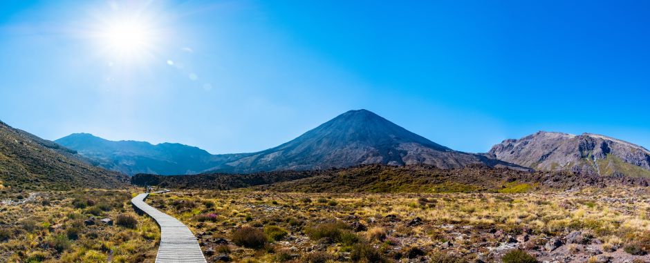 ThinkPlace is working on a new strategy paradigm for New Zealand's Ministry for the Environment