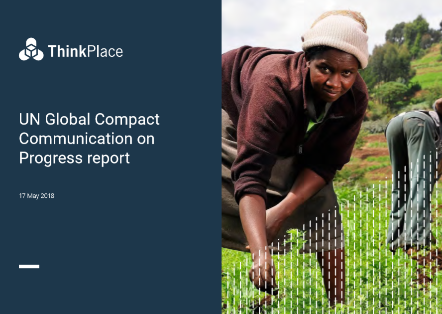 ThinkPlace UN report