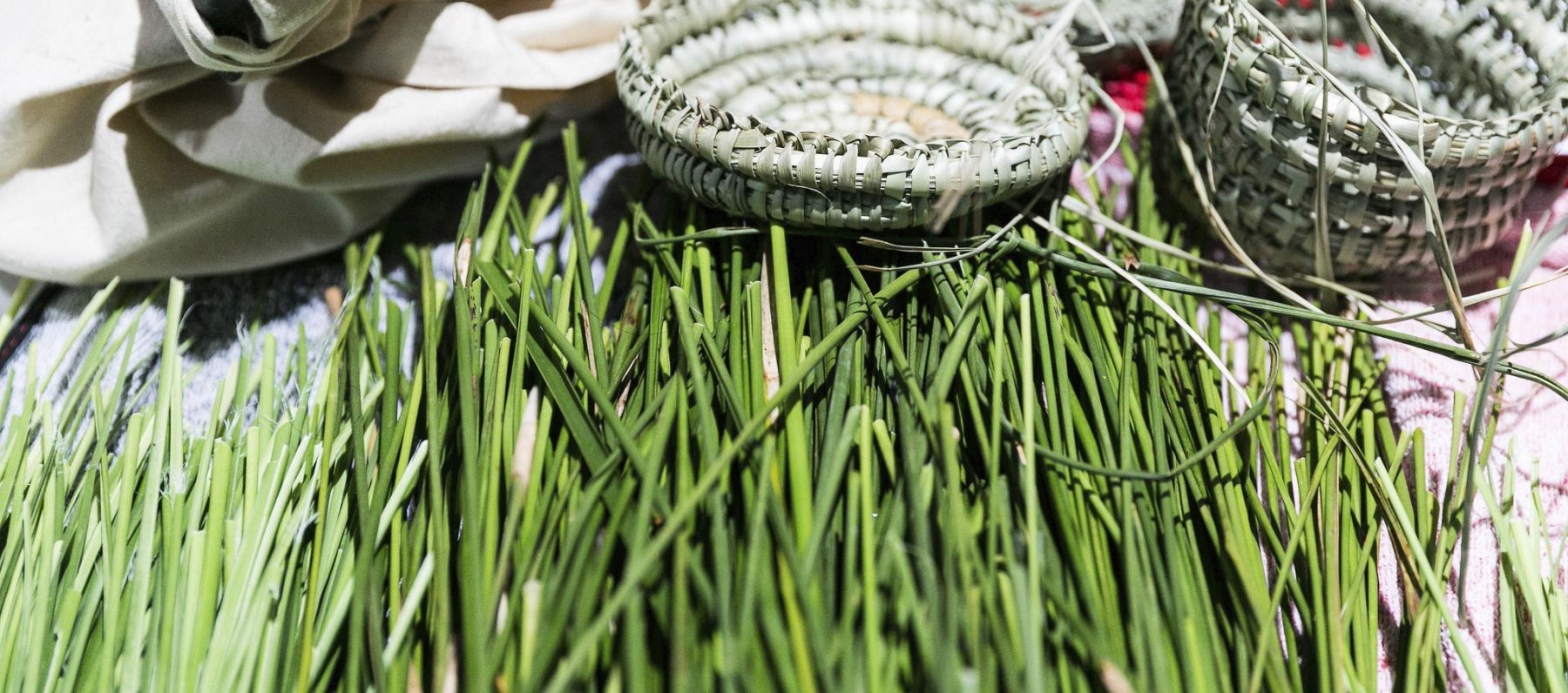 ThinkPlace worked with DELWP on an indigenous placenaming project